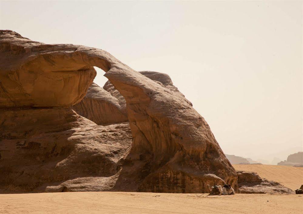 Wadi Rum Caravan Camp Kültér fotó